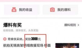 今日头条视频爆料在哪看,揭秘“在哪看”视频内容生成内幕