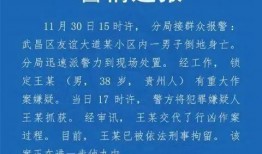 中国大学爆料新闻,揭秘校园爆料背后的真相与争议