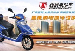 电动车广州事件最新爆料,真相再起波澜，疑云重重待解