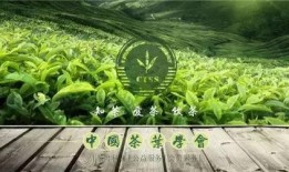 中国茶叶爆料视频最新,最新爆料视频深度解析