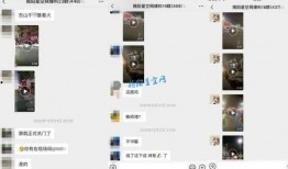 八村最新爆料视频大全播放,精彩瞬间回顾