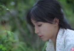 圈内爆料李子柒,田园生活背后的匠心独运